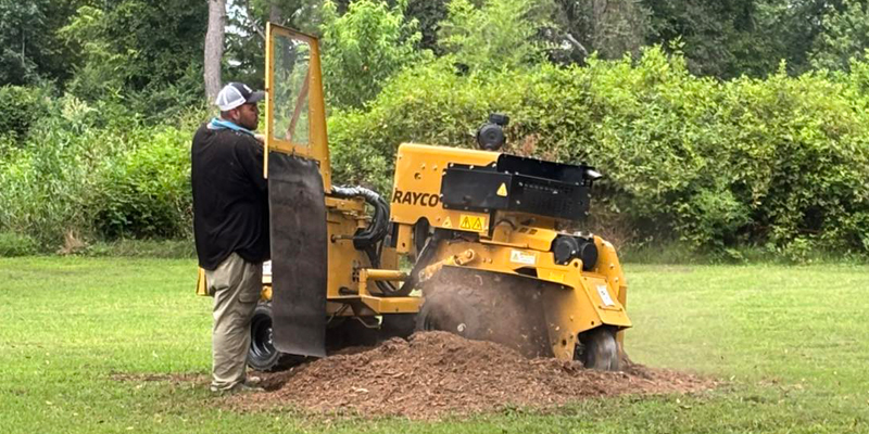 Stump grinding service