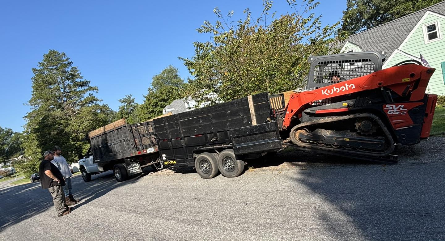 Professional tree service